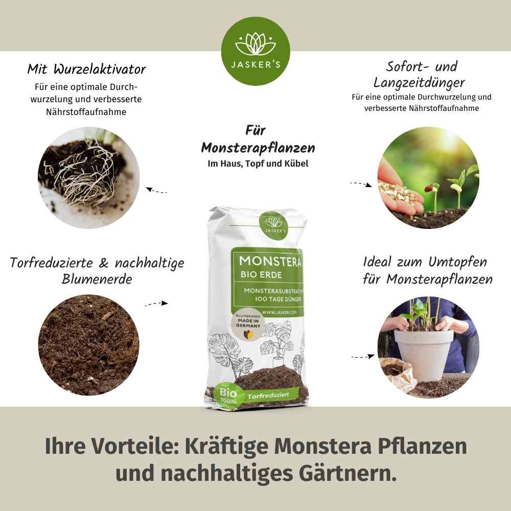 Monstera Erde 40 L - Bio Grünpflanzen Erde für Monstera Pflanzen