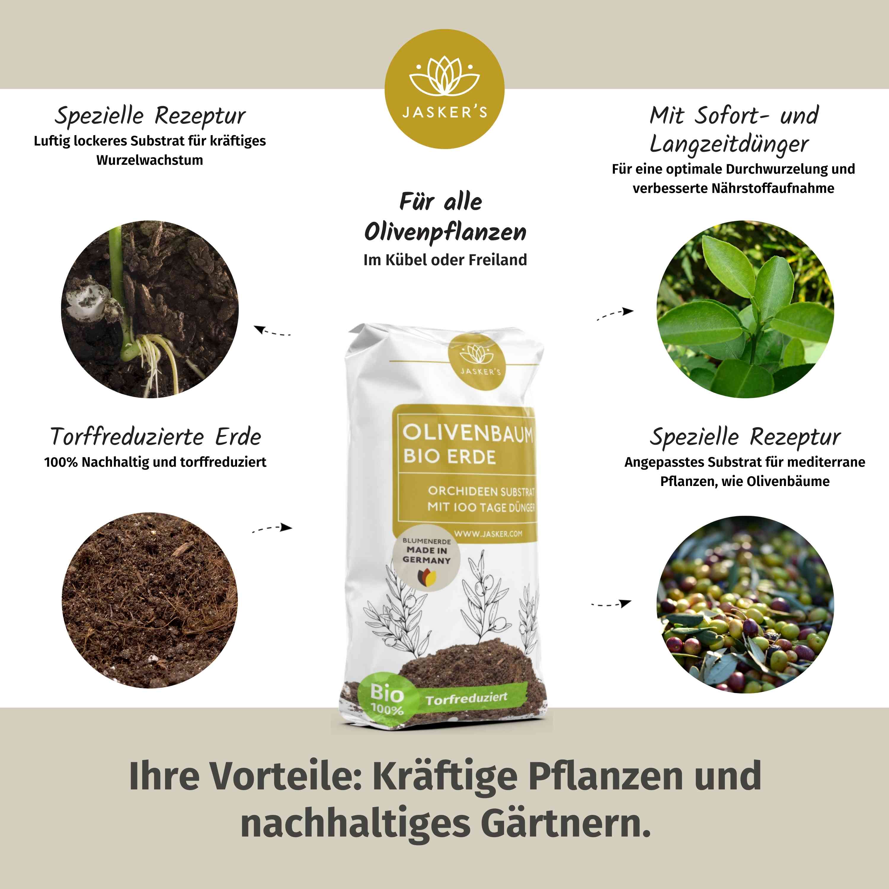 Olivenbaum Erde 40 L (2x20L)