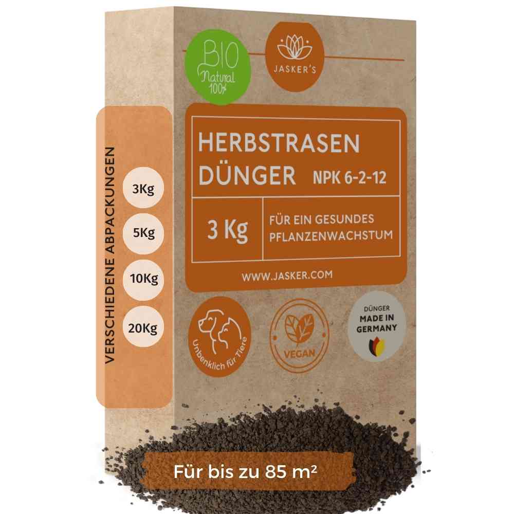 Herbstrasendünger Bio - 3 Kg