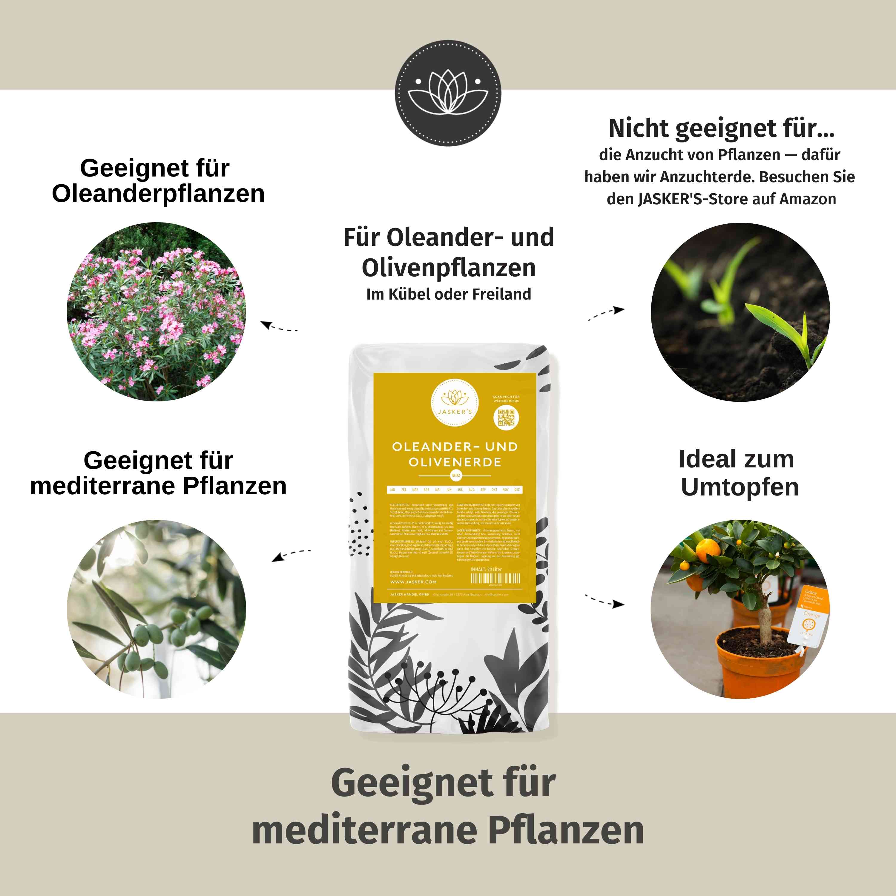 Oleander Erde 60 L