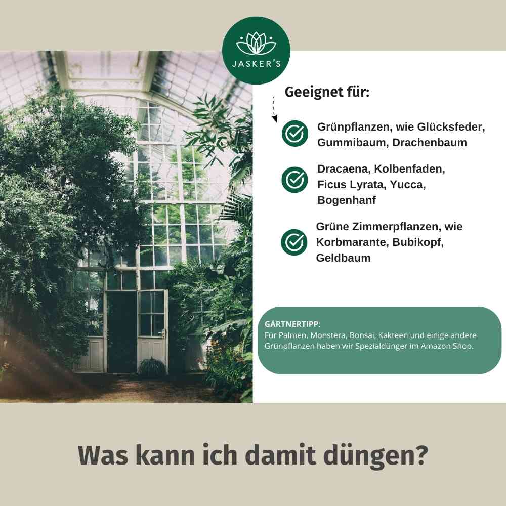 Grünpflanzen Dünger flüssig 2 Liter - Flüssigdünger für Grünpflanzen