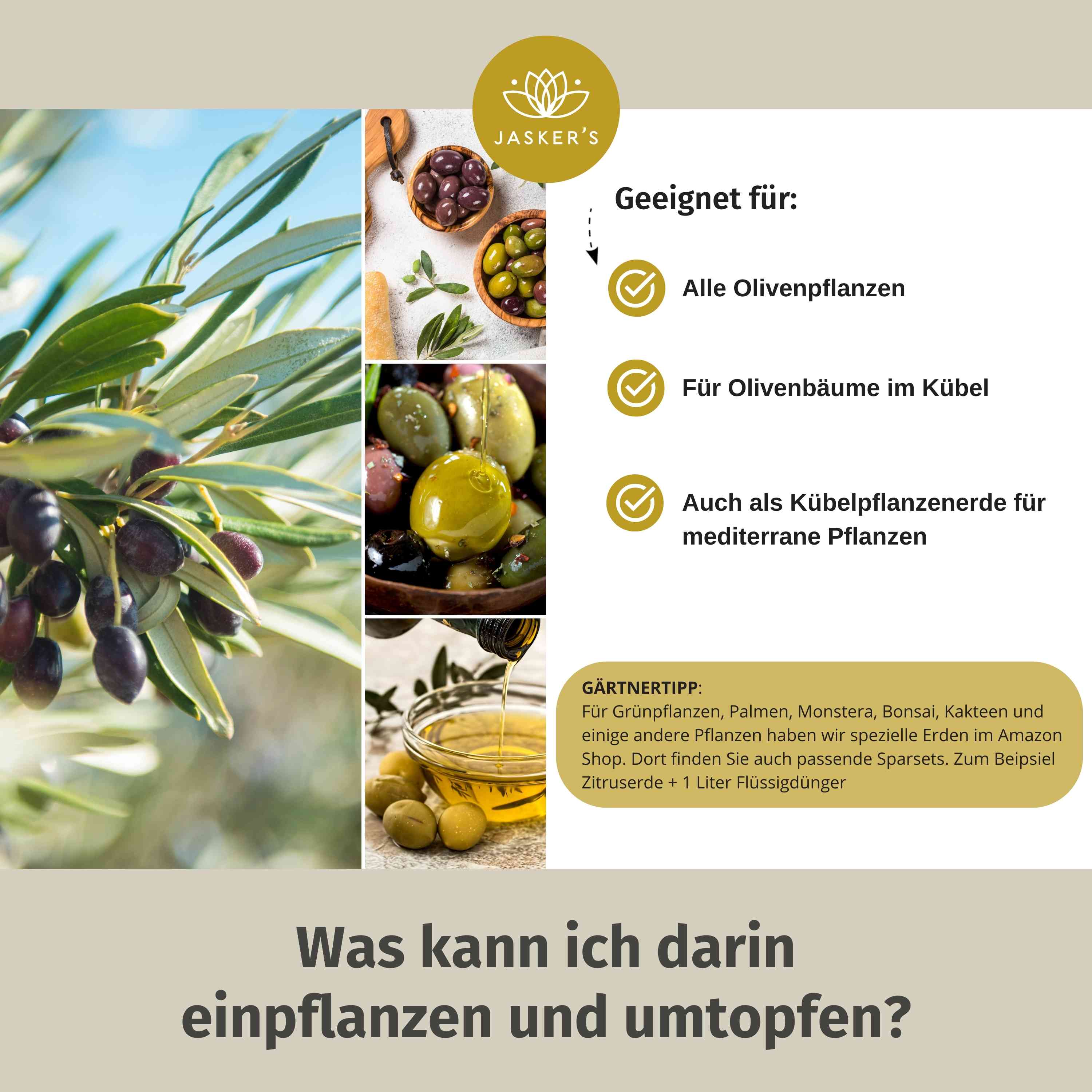 Olivenbaum Erde 40 L (2x20L)