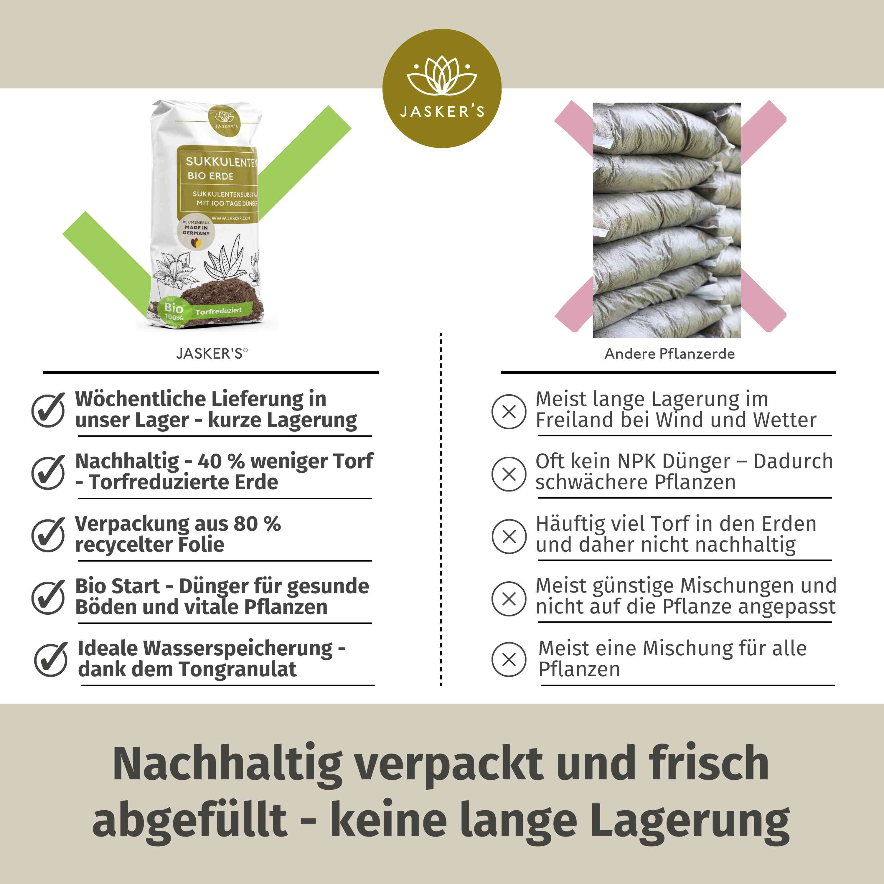 Sukkulentenerde 10 L mit Dünger