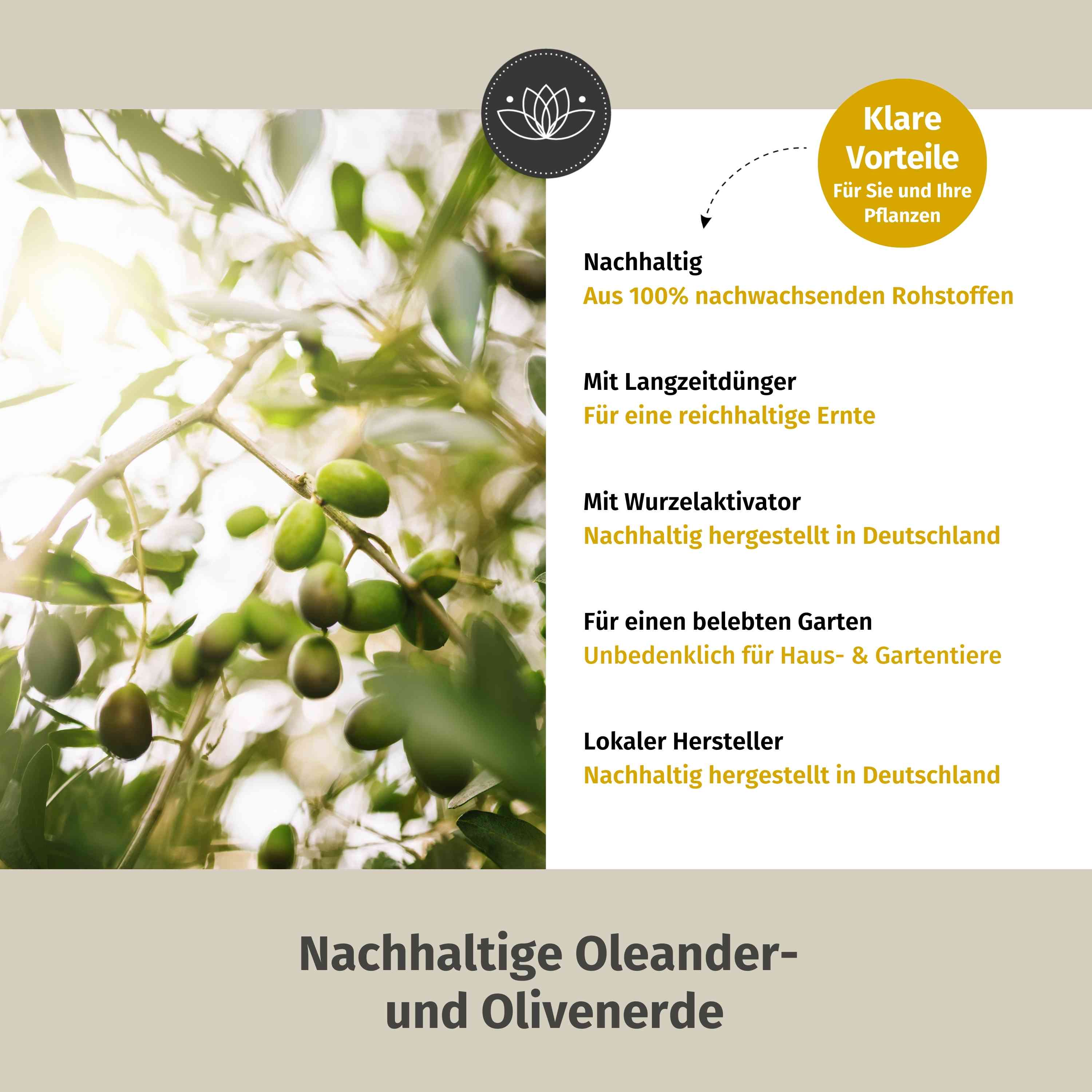 Oleander Erde 60 L