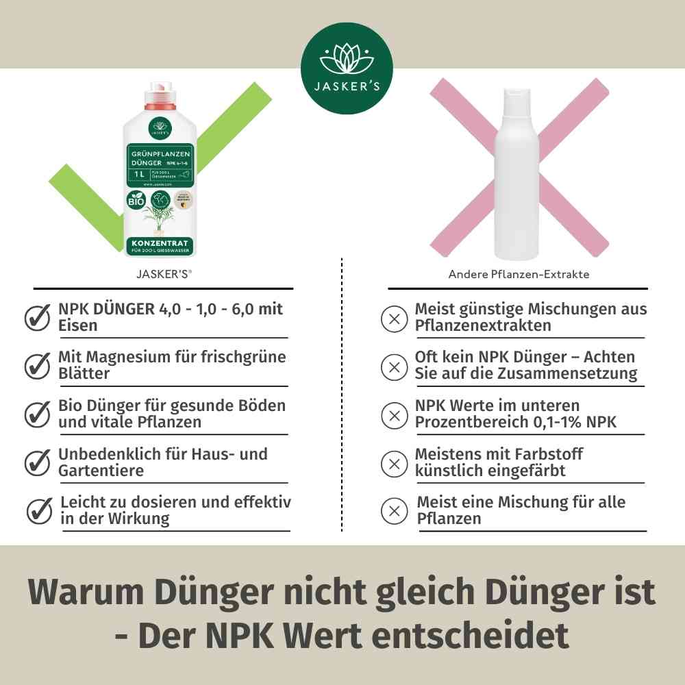Grünpflanzen Dünger flüssig 2 Liter - Flüssigdünger für Grünpflanzen