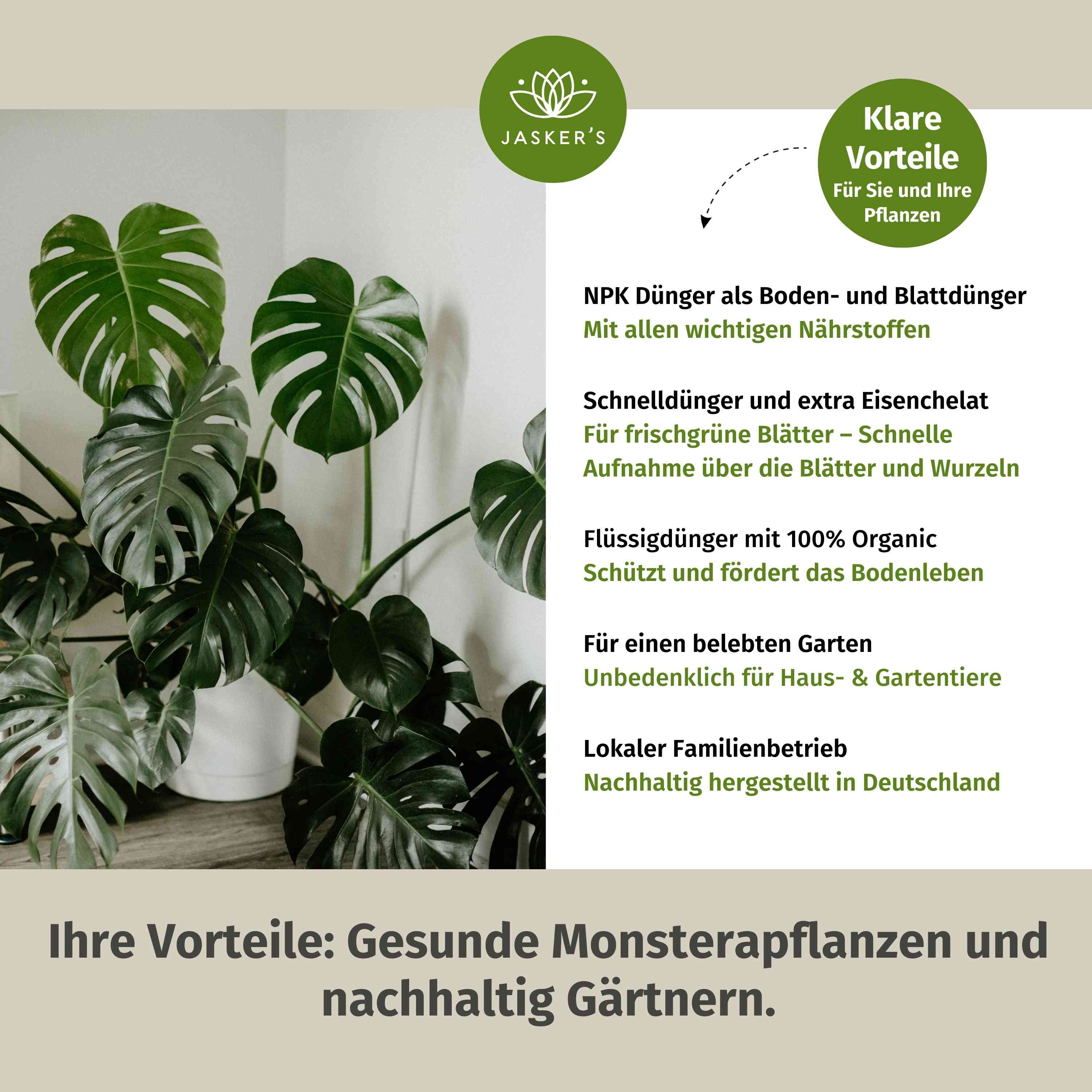 Monstera Dünger 500 ml