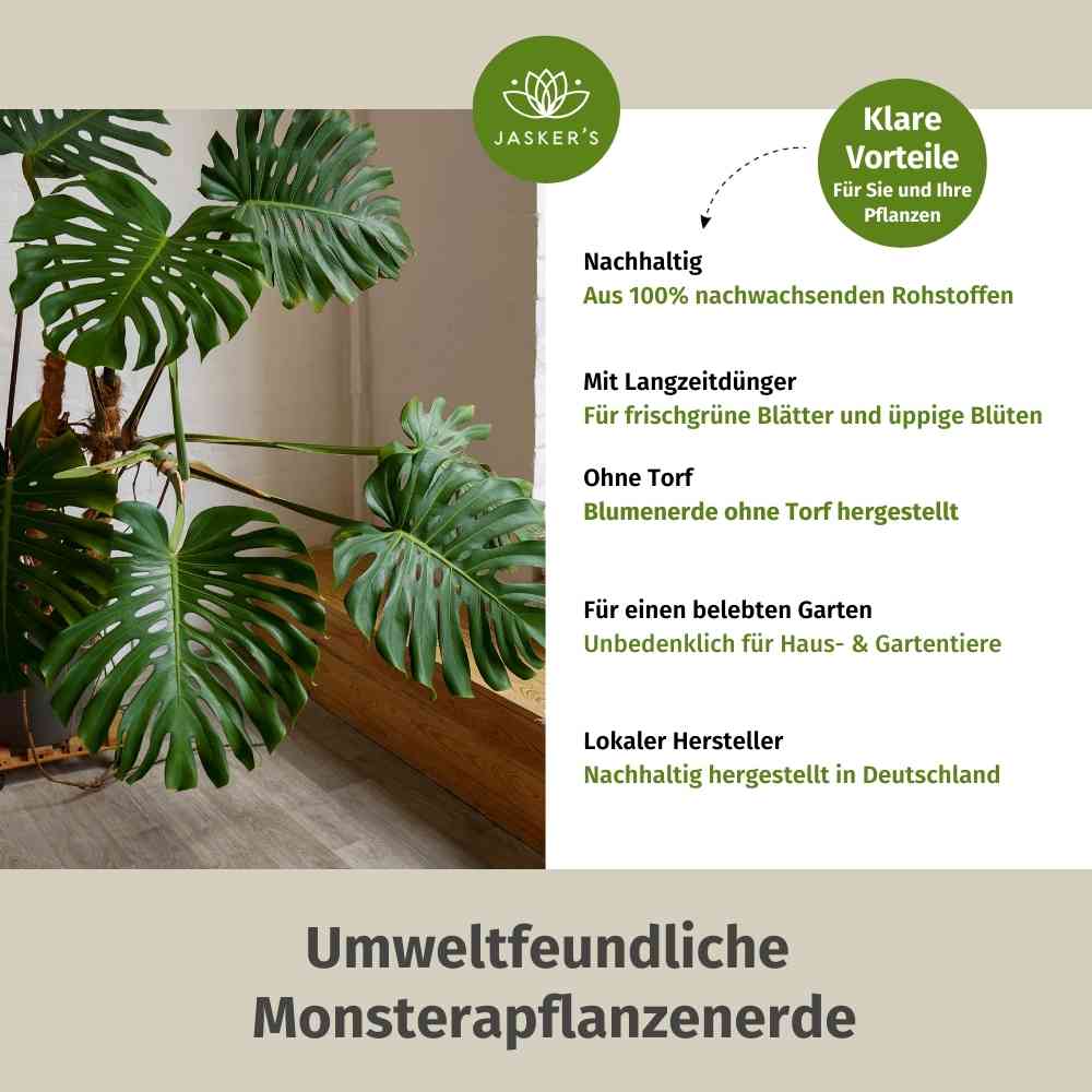 Monstera Erde 5 L