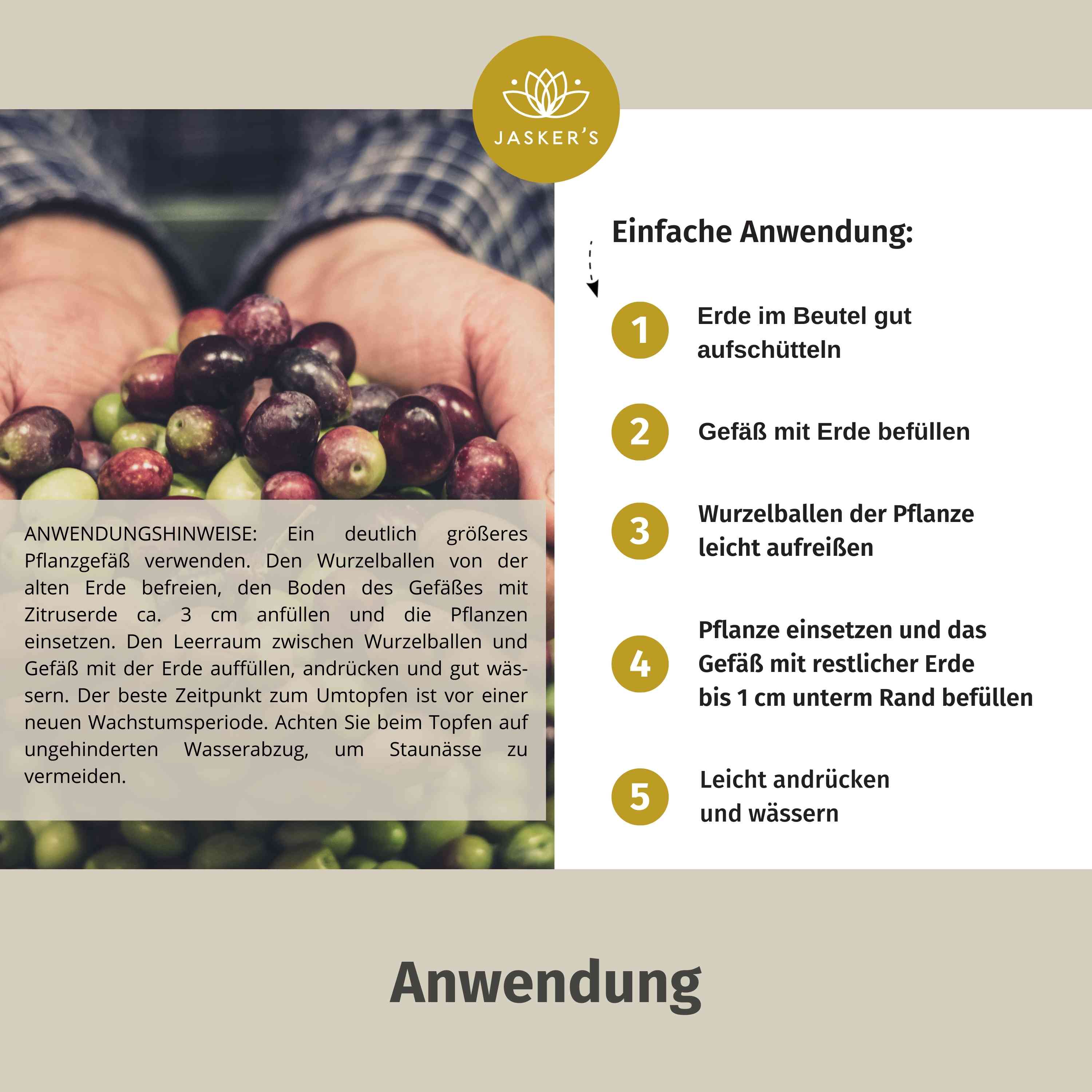 Olivenbaum Erde 5 L