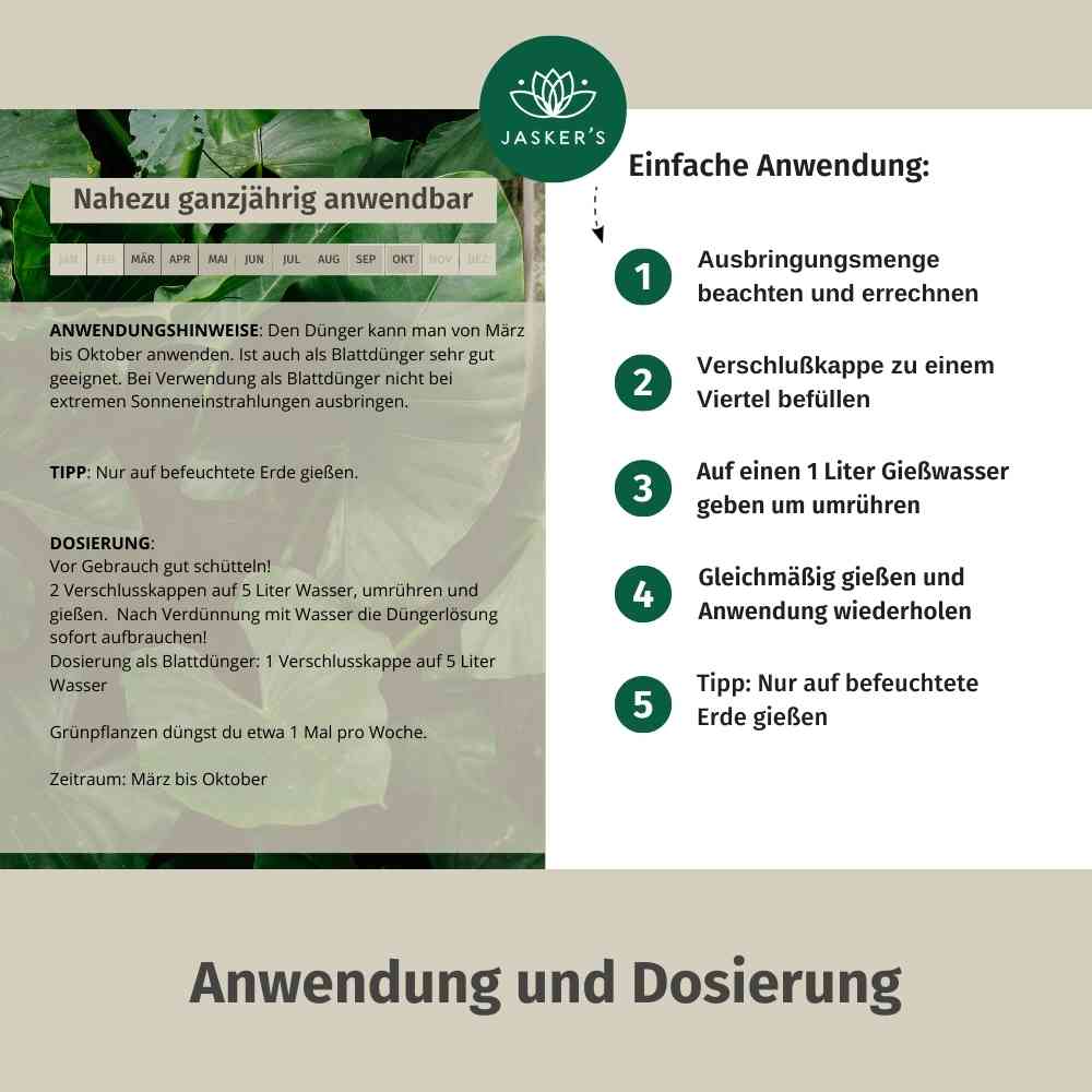 Grünpflanzen Dünger flüssig 2 Liter - Flüssigdünger für Grünpflanzen