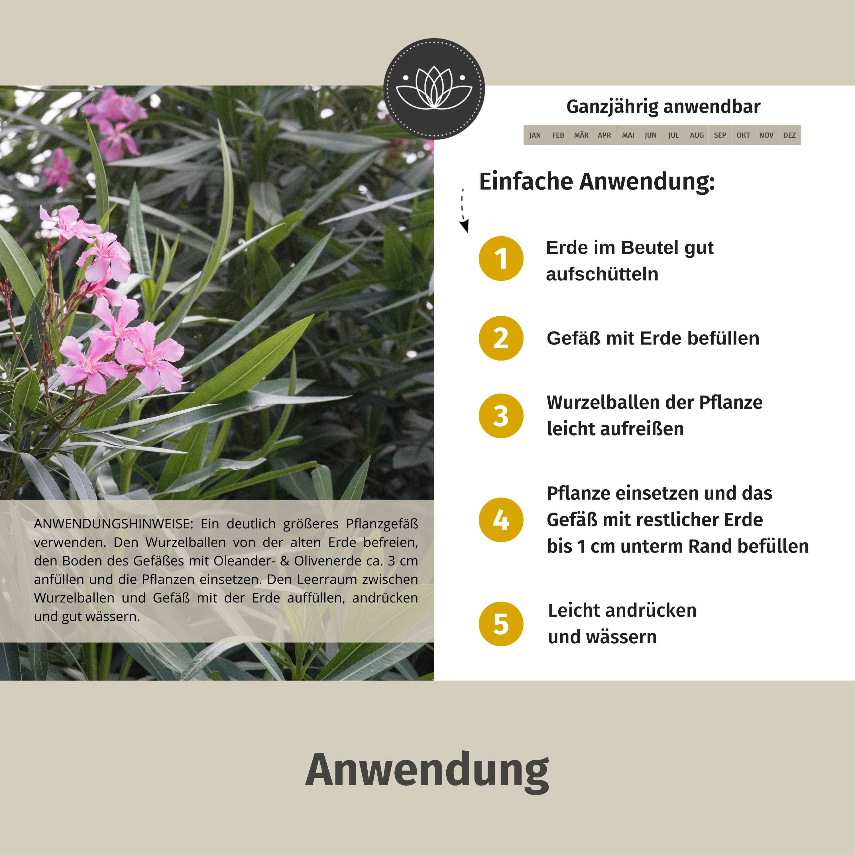 Oleander Erde 60 L