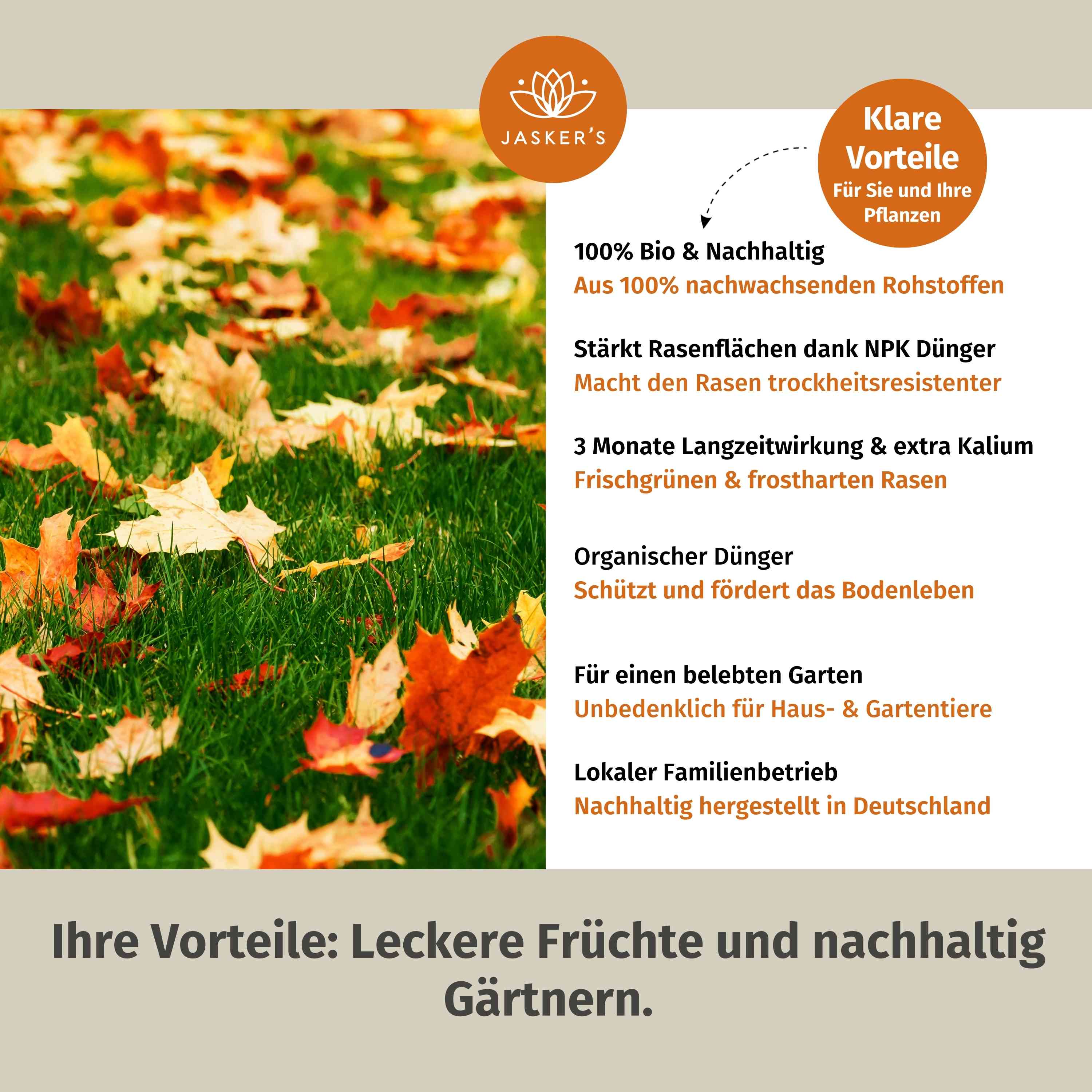 Herbstrasendünger Bio 5 Kg