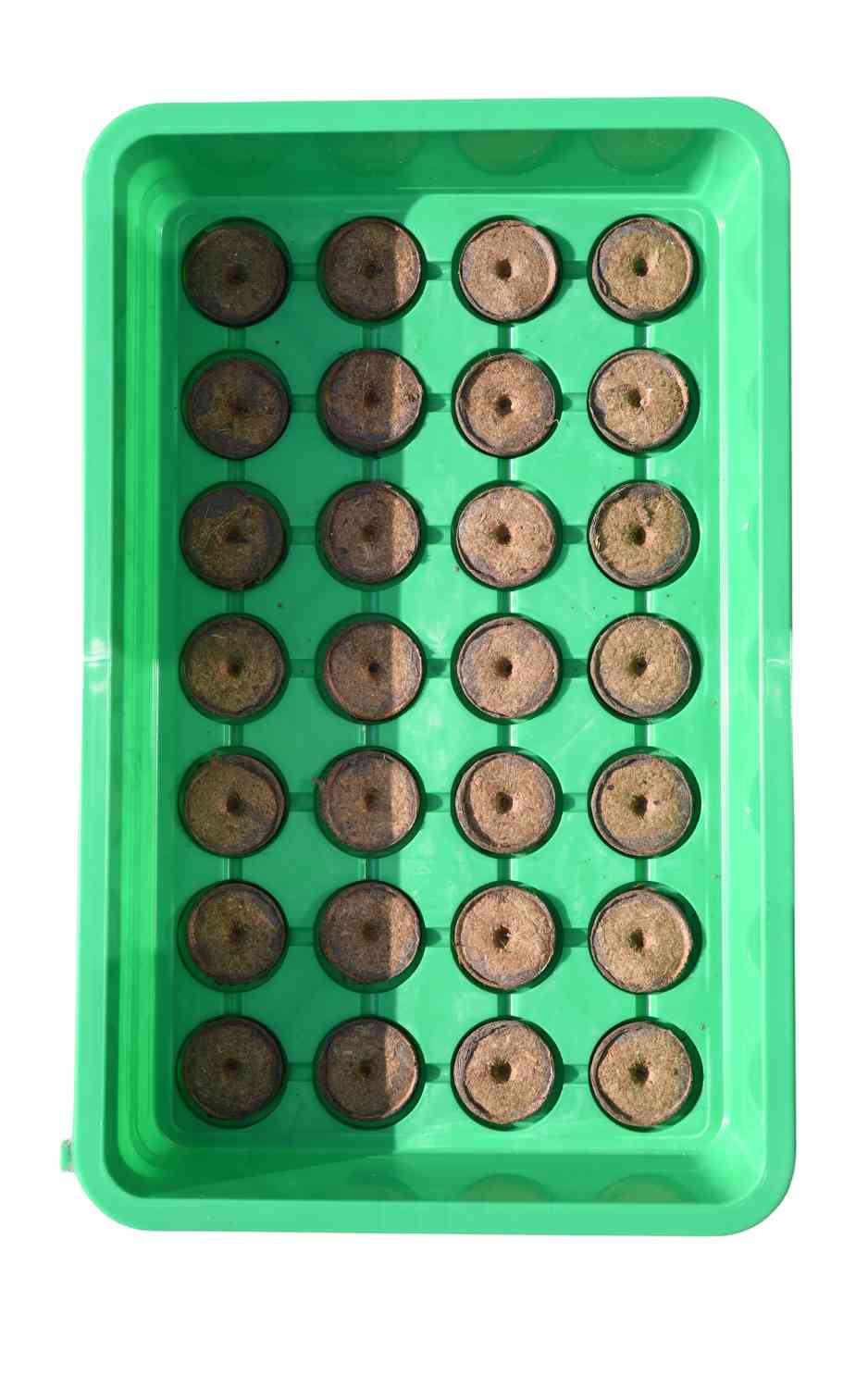 Kokos Quelltabletten 30 Stück - Kokoserde