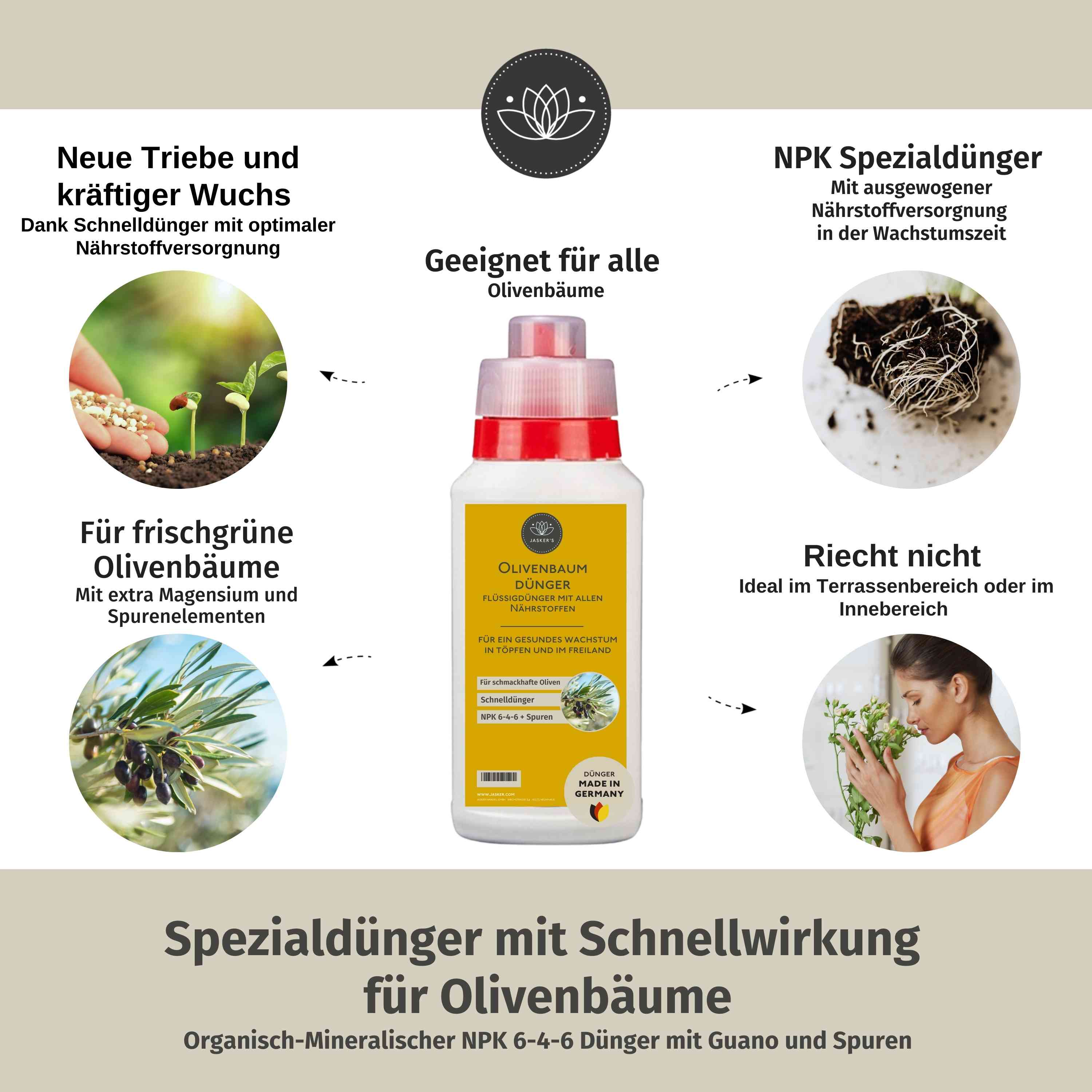 Olivenbaum Dünger flüssig 500 ml - Oliven Dünger - Dünger für Olivenbaum