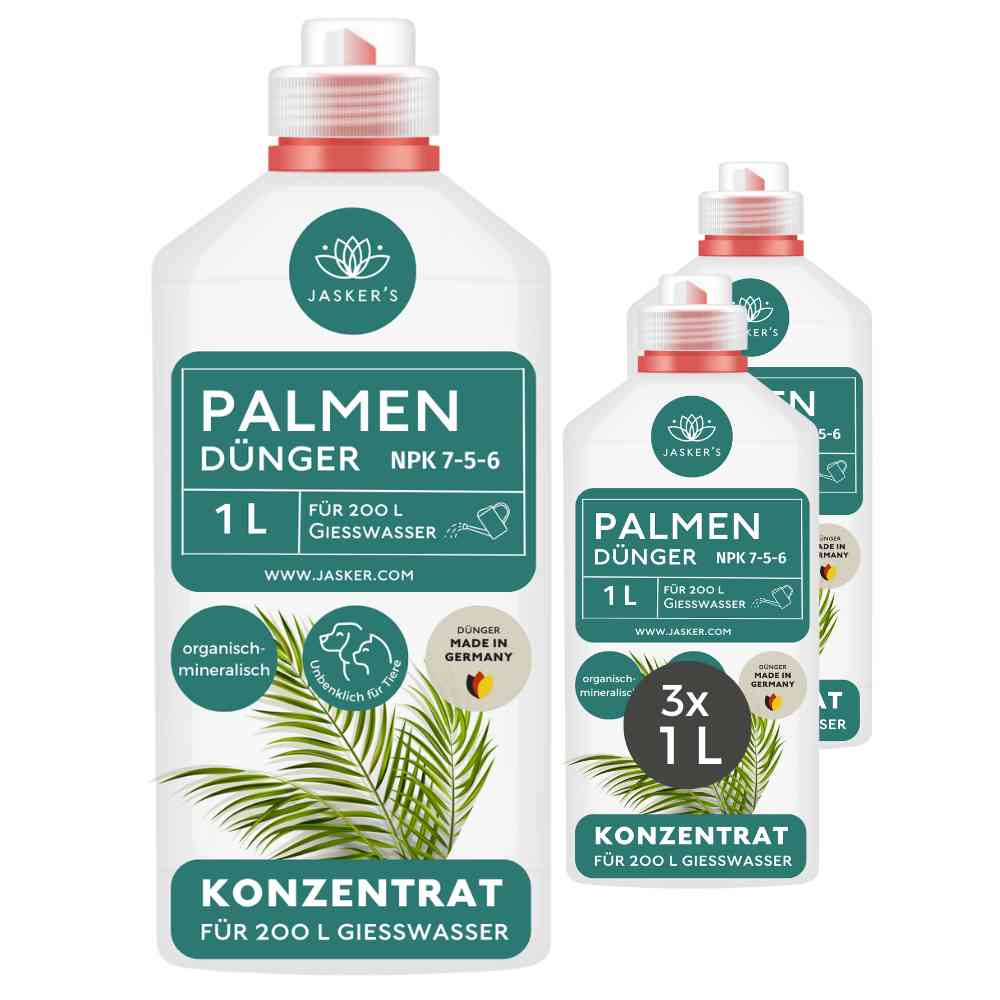 Palmendünger flüssig 3 Liter Konzentrat - Dünger für Palmen - Für alle Palmen-Arten