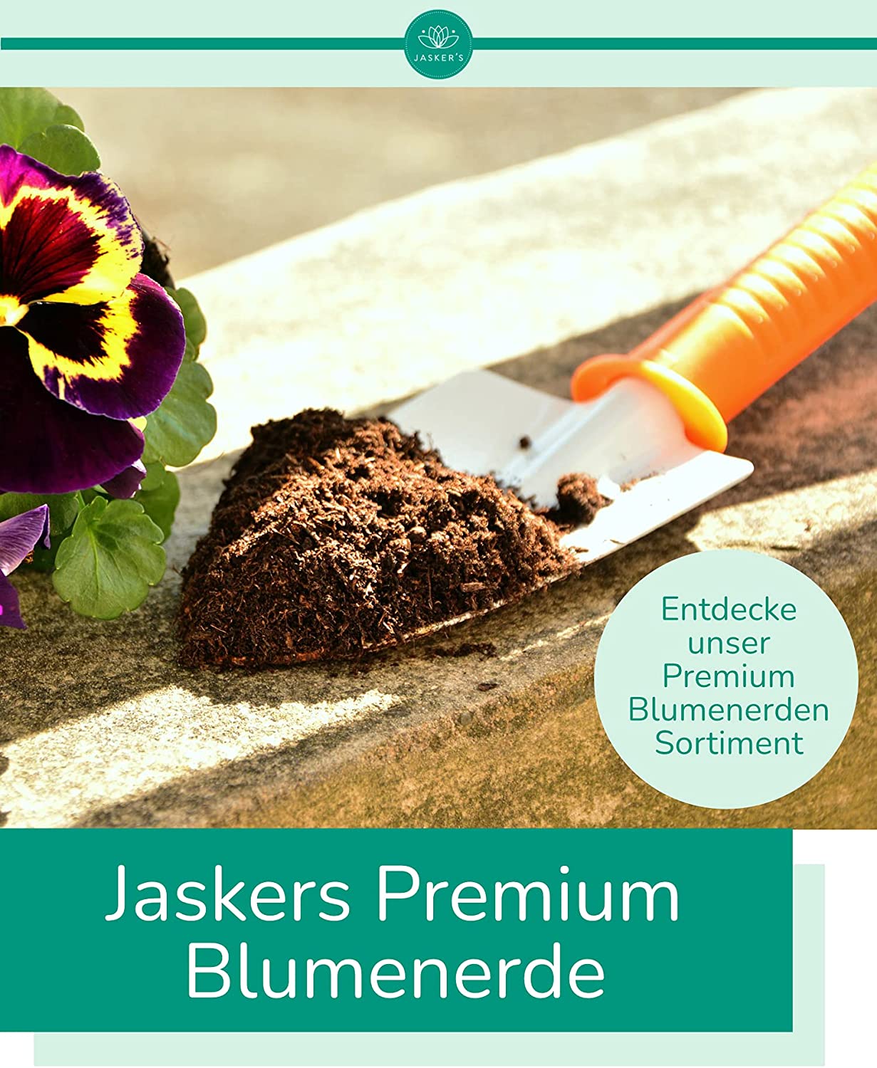 SPARSET Palmenerde Bio + 250ml Palmendünger | Premium Blumenerde Für Palmen