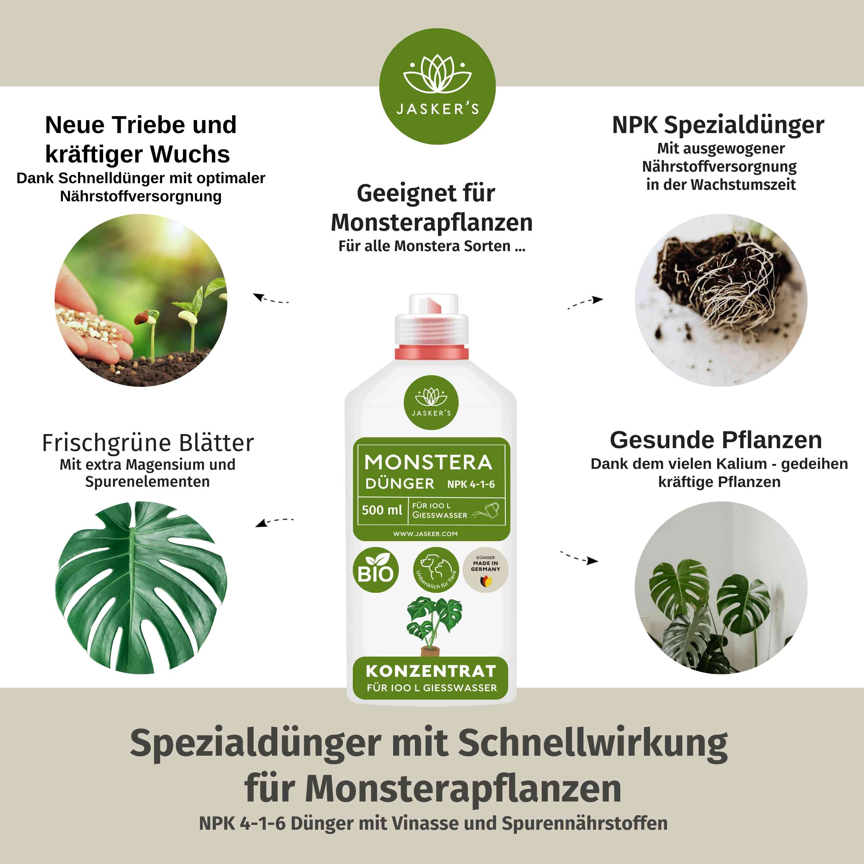 Monstera Dünger 500 ml