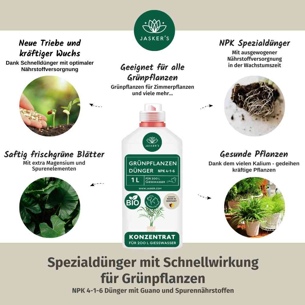 Grünpflanzen Dünger flüssig 2 Liter - Flüssigdünger für Grünpflanzen