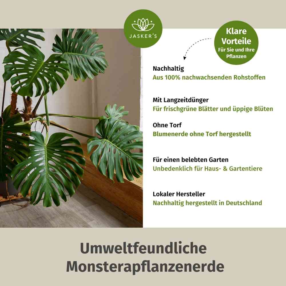 Monstera Erde 5 L - Bio Grünpflanzen Erde für Monstera Pflanzen