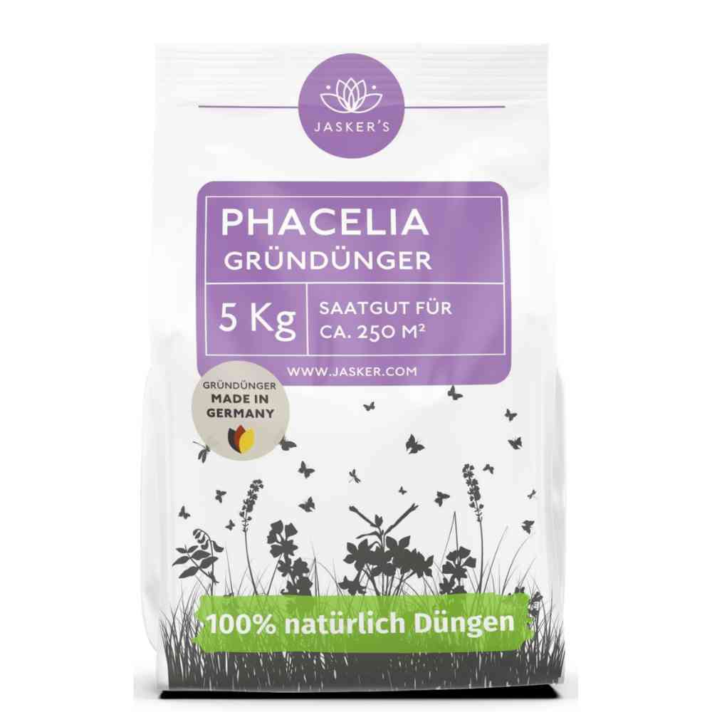 Phacelia Samen 5 kg