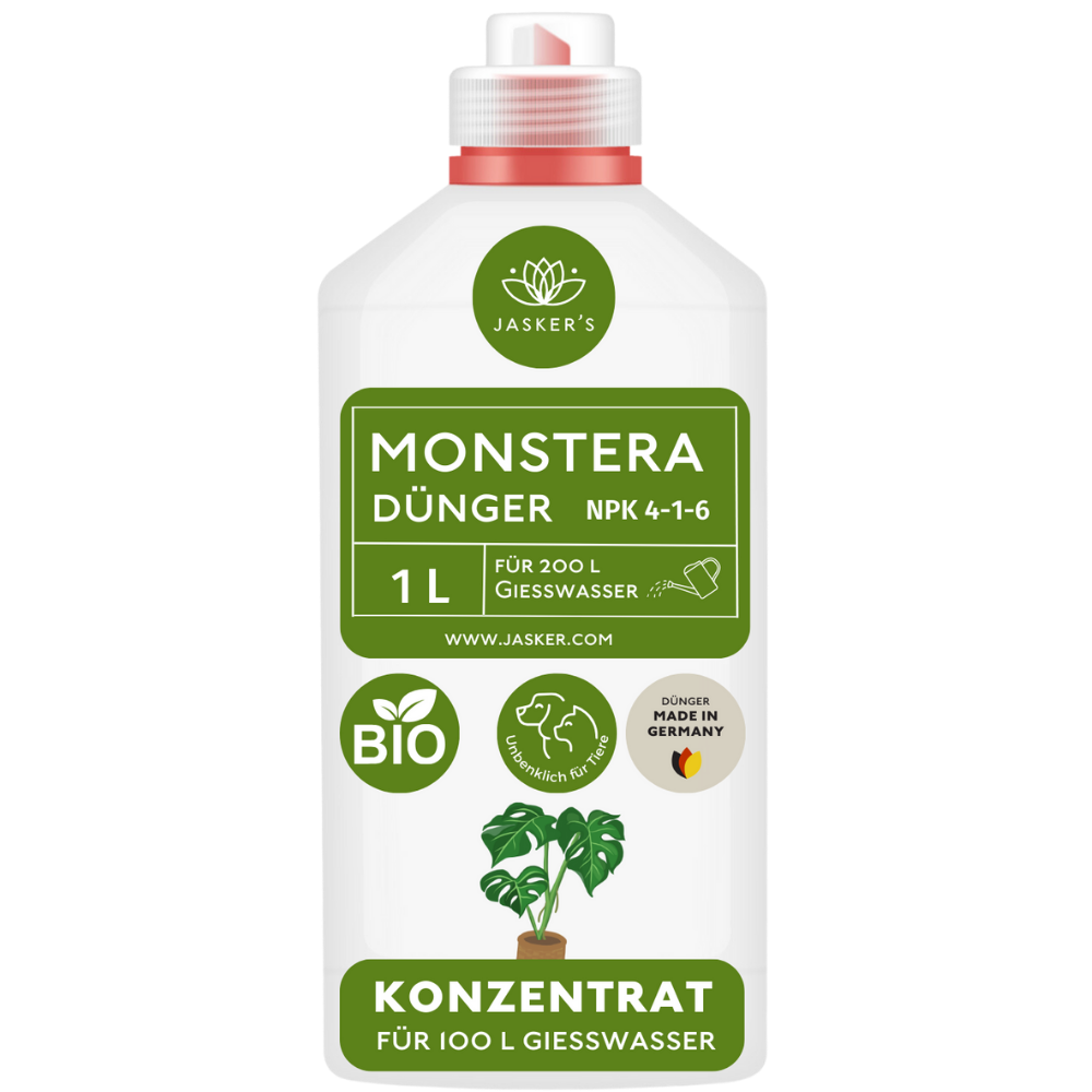 Monstera Dünger 1 Liter