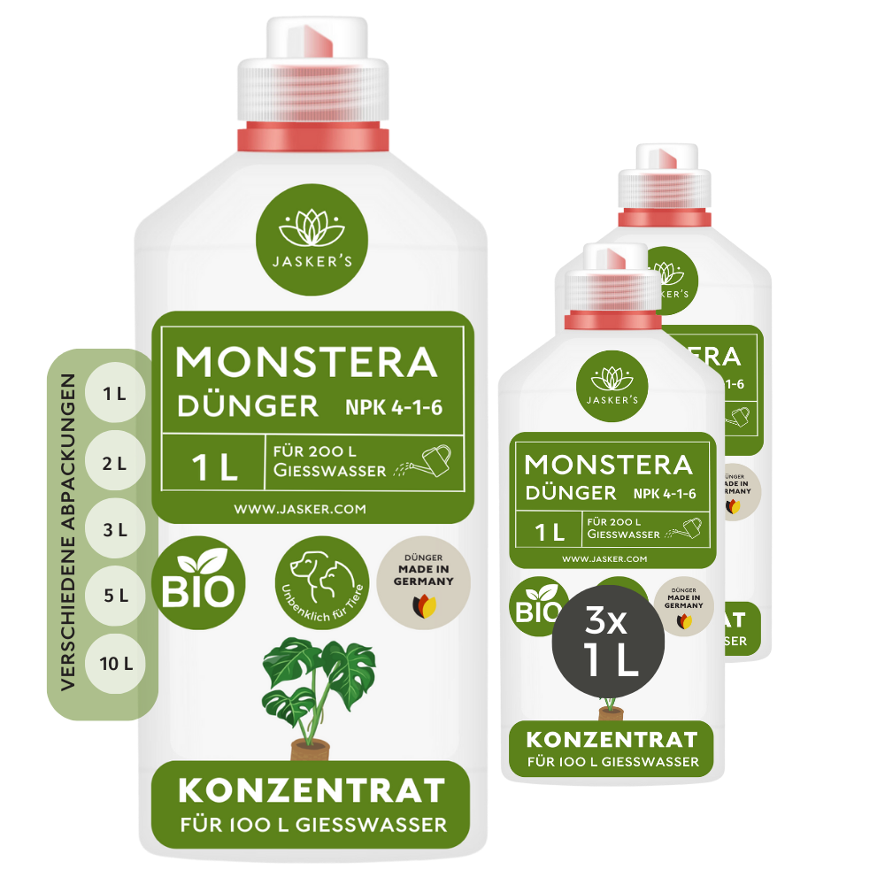 Monstera Dünger 3 Liter