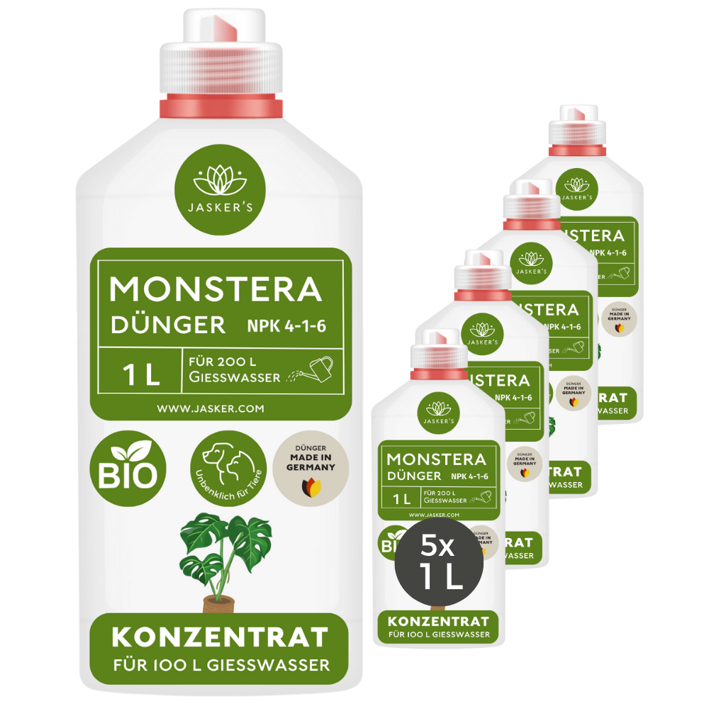 Monstera Dünger 5 Liter
