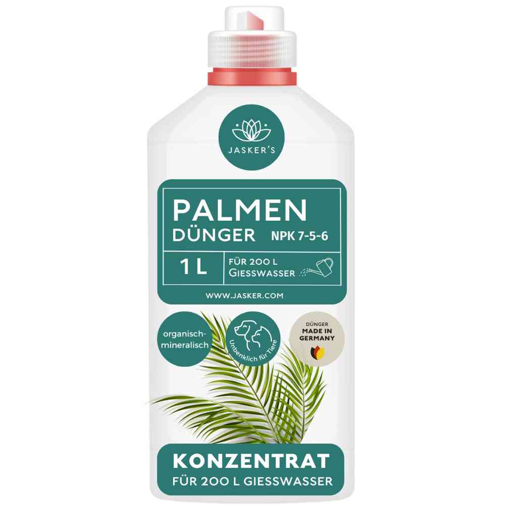 Palmen Dünger flüssig 1 Liter Konzentrat - Dünger für Palmen
