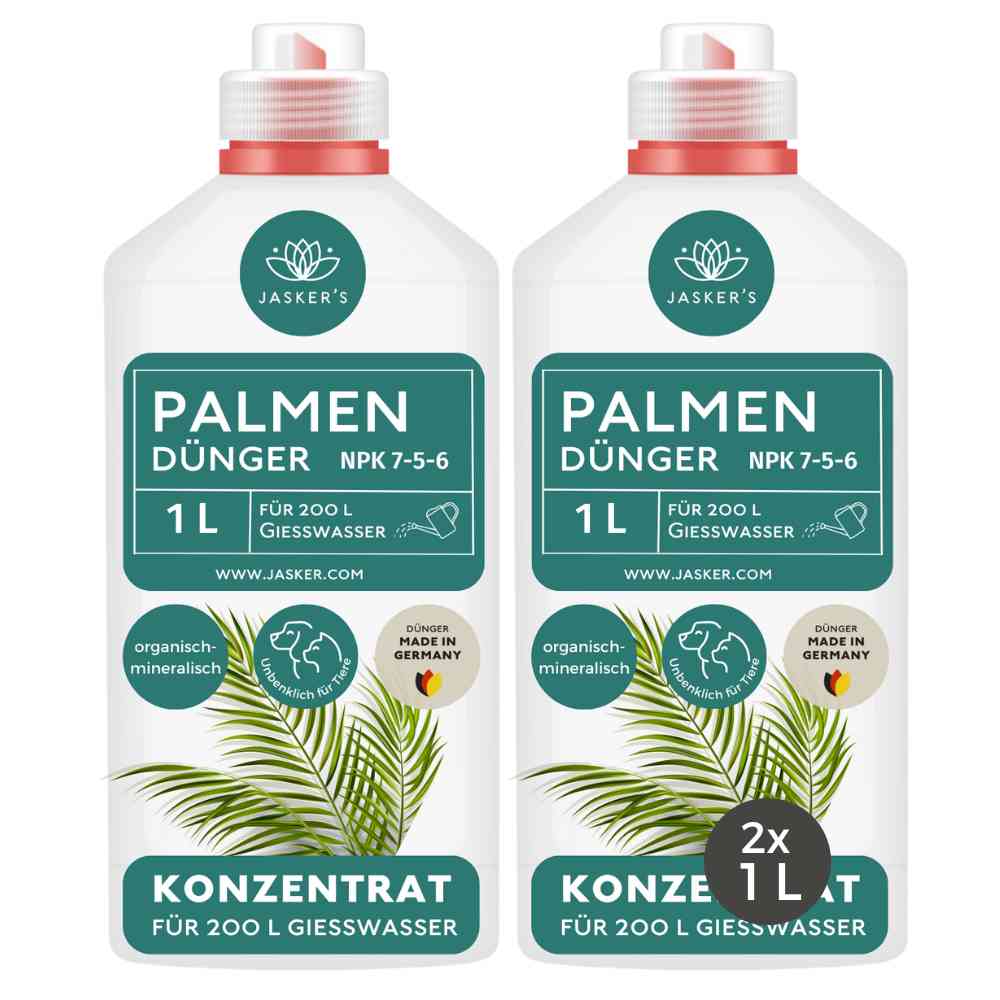 Palmendünger flüssig 2 Liter Konzentrat - Dünger für Palmen - Für alle Palmen-Arten