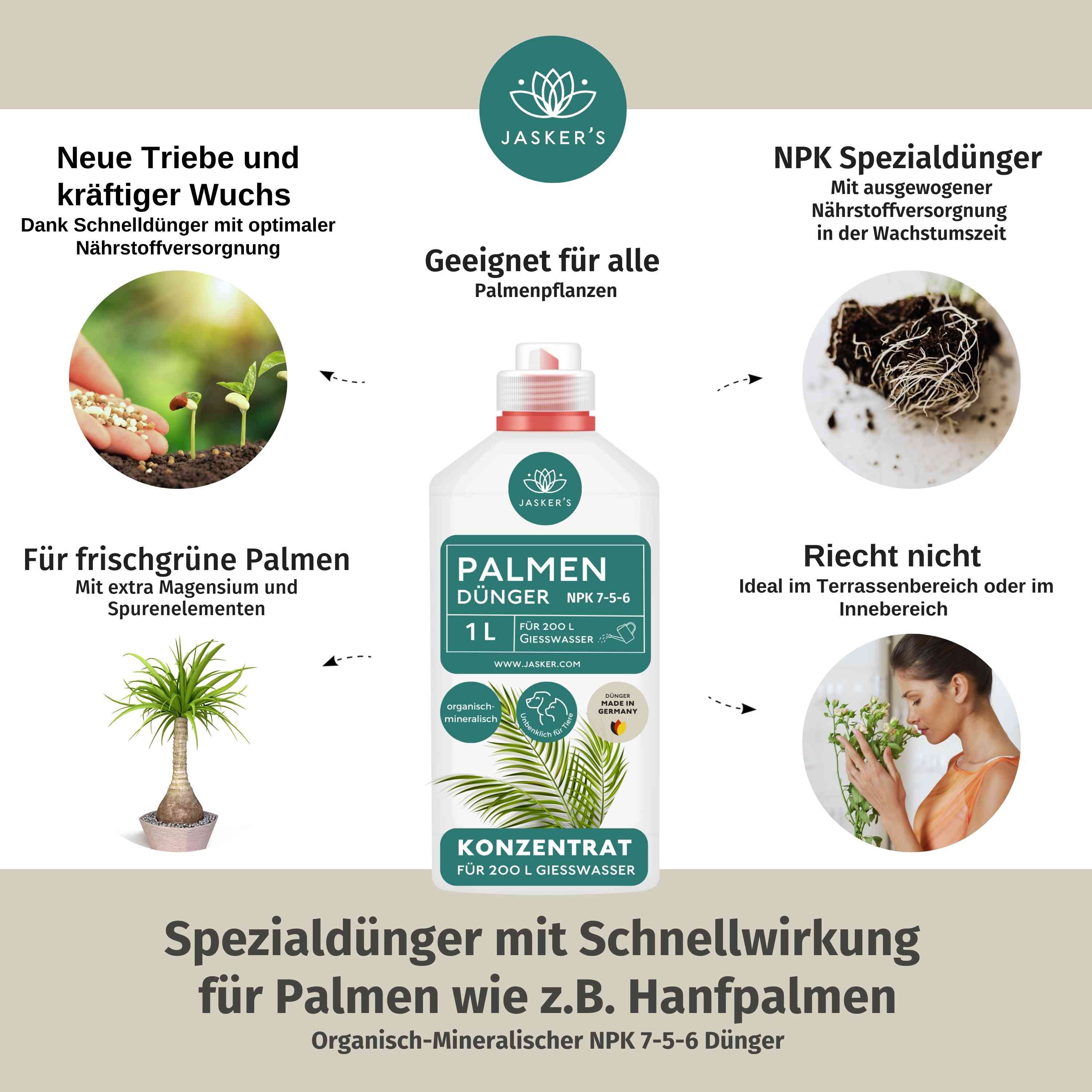 Palmendünger flüssig 5 Liter Konzentrat - Dünger für Palmen - Für alle Palmen-Arten