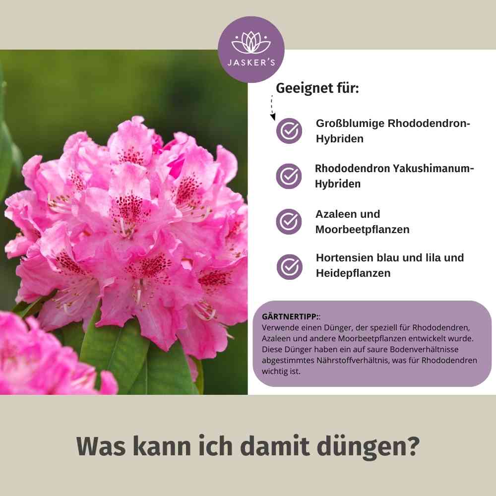 Rhododendron Dünger flüssig 10 L - Flüssigdünger für Rhododendron