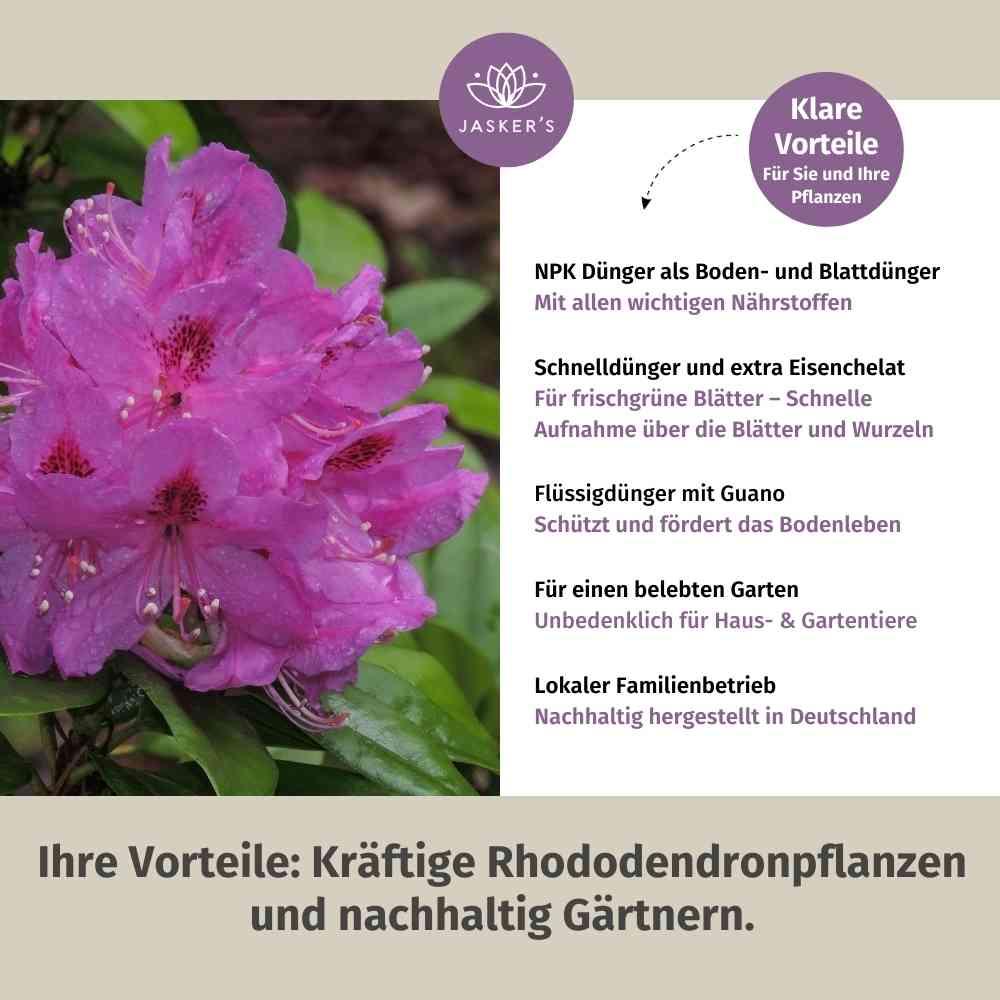 Rhododendron Dünger flüssig 5 L - Flüssigdünger für Rhododendron
