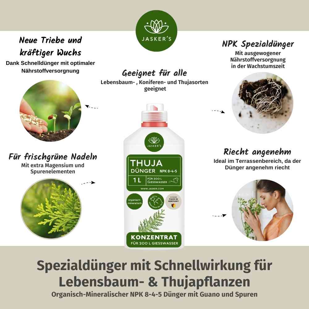Thuja Dünger flüssig 1 Liter Konzentrat - Flüssigdünger für Koniferen